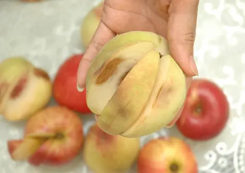 War.ning: 4 Foods That May Increase Can.cer Risk the More You Try to “Save” Them