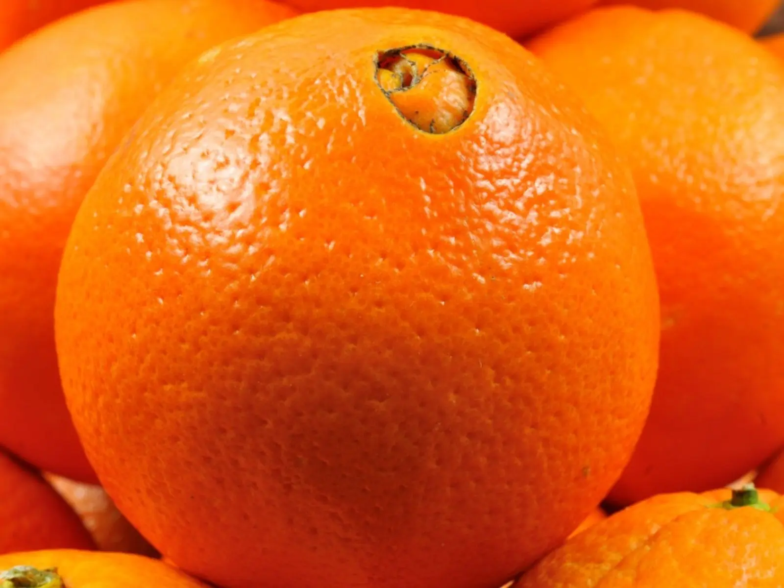 Big Navel vs. Small Navel Oranges: One Simple Detail Could Help You Pick Sweeter, Juicier Fruit