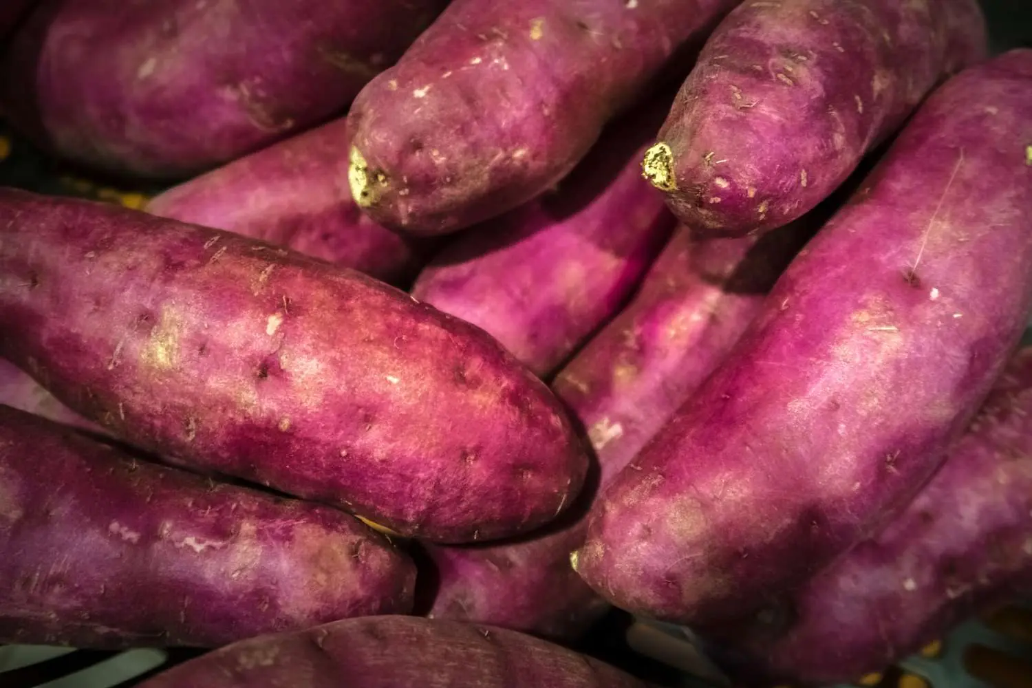 Don’t Eat Sweet Potatoes Until You Know These 13 Important Facts
