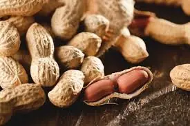 Eating Peanuts Every Day: Healthy Habit or Hidden Risk? Experts Explain