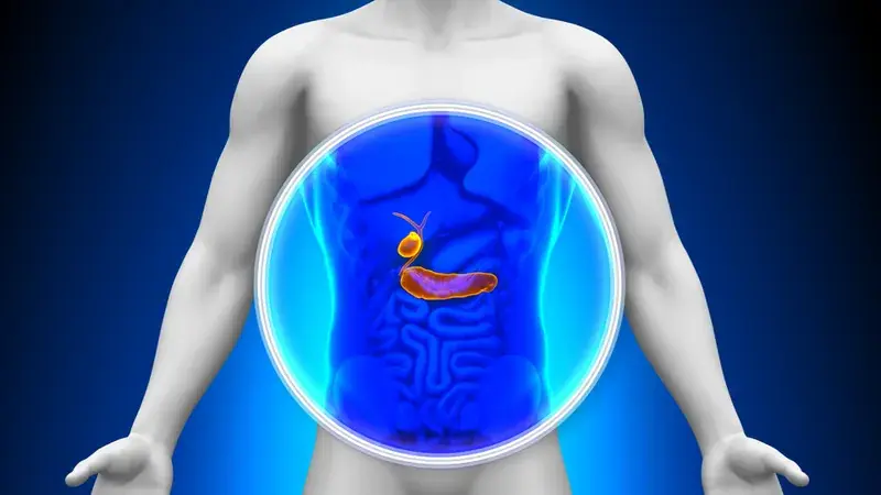 Know the Possible Signs of Pancreatic Can.cer Before They Become Serious