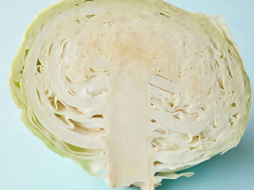 10 reasons cabbage deserves a place in your meals