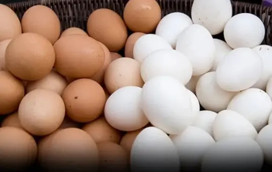 Should you choose brown or white eggs?