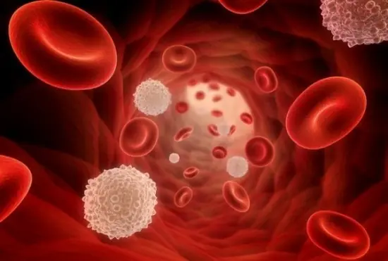 Bl00d Can.cer: 10 Early Warning Signs That Are Easy to Overlook