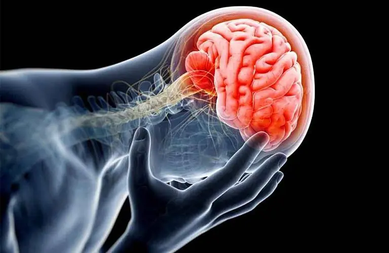 Recognizing Meningitis Symptoms Before They Become Serious