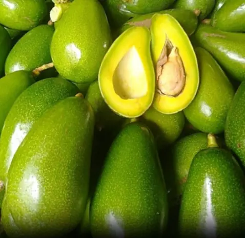 5 Potential Risks of Eating Avocados You Should Know