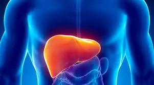 When the Liver Is Not Functioning Properly, the Body Often Sends These Warning Signs