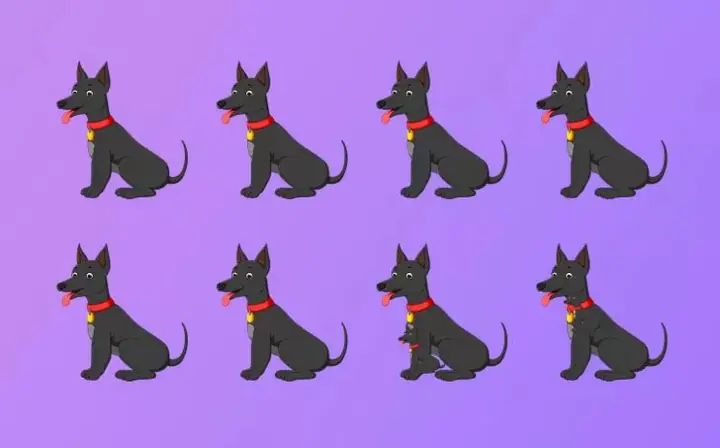 Test Your Eyesight: How Many Dogs Are Actually in the Image?