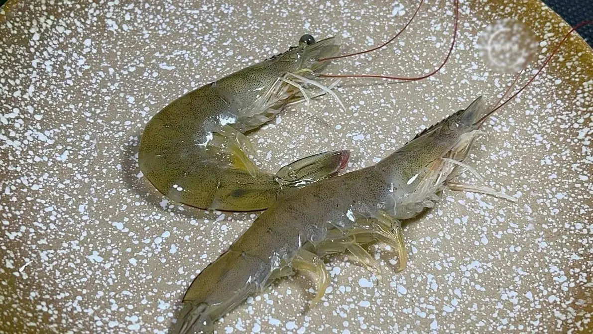 Seafood Sellers Reveal the Important Difference Between Straight and Curved Shrimp