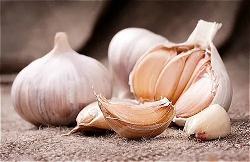 Garlic May Not Be Suitable for Everyone - Here Are 4 Groups Who Should Use Caution