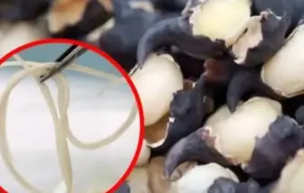 These 5 Vegetables Can Contain Hidden Worms — Be Careful When Eating Them Raw