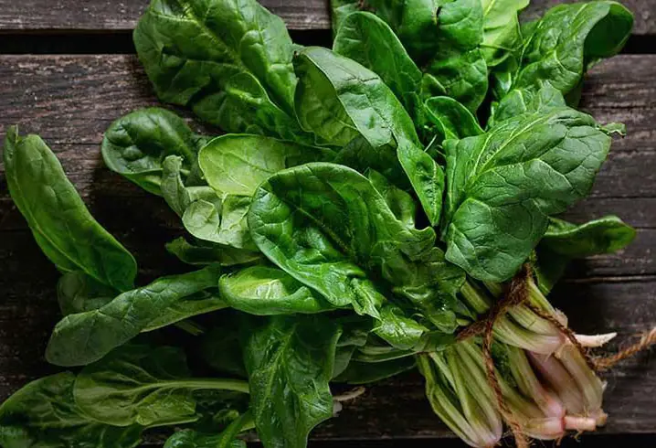 Vegetables You Probably Eat Often That May Help Support Colorectal Wellness