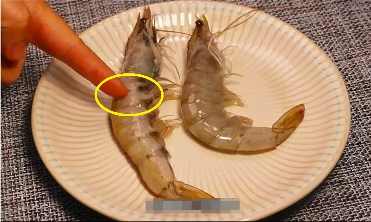 Should You Choose Straight Shrimp or Curved Shrimp at the Market? Use This Trick to Spot Wild-Caught Shrimp