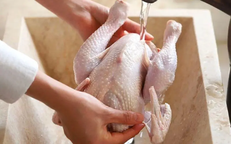 Doctors Warn: These 4 Chicken Parts May Contain Parasites and Toxins — Yet Many People Still Eat Them