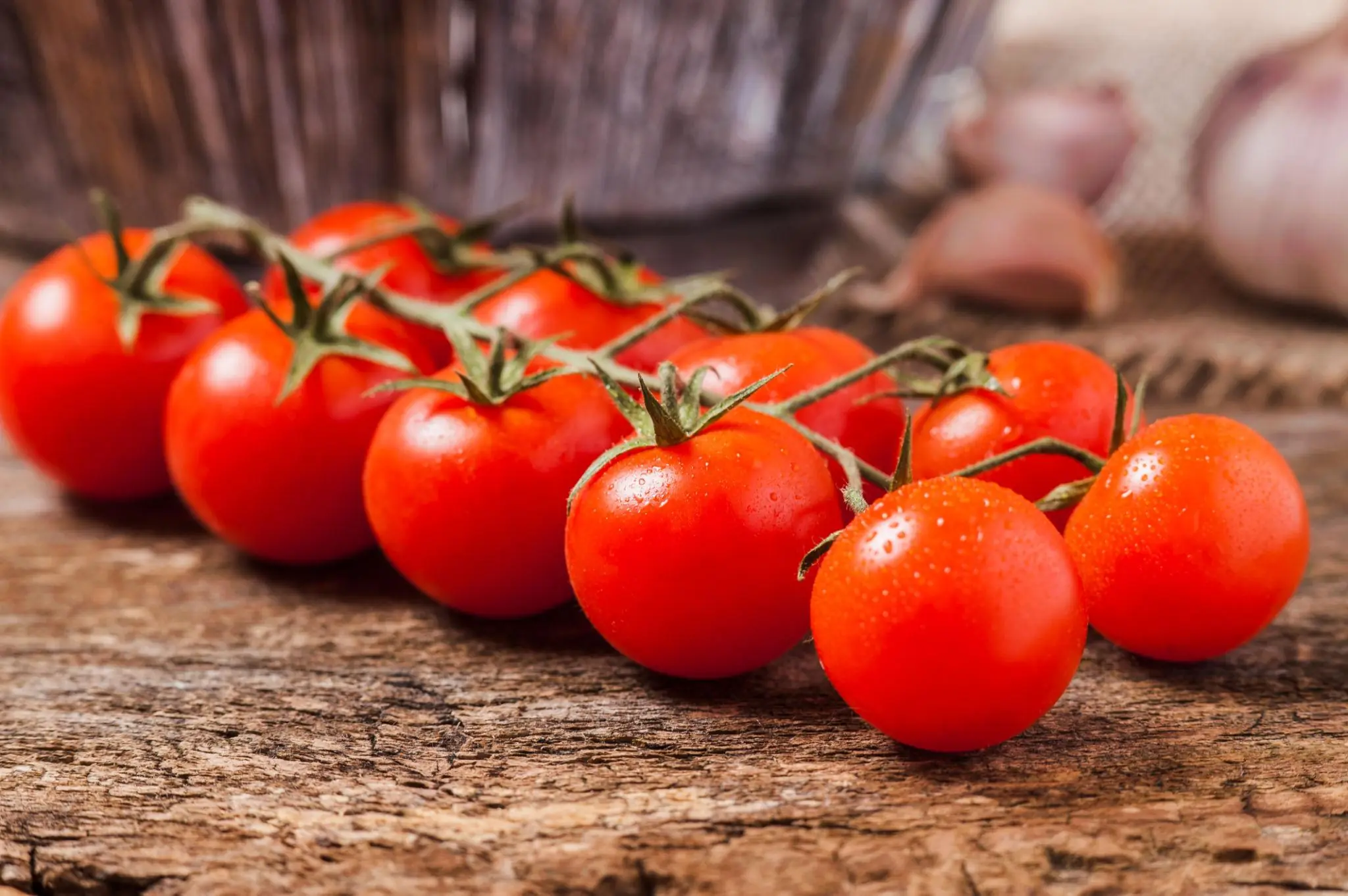 When Buying Tomatoes, Should You Choose Pointed or Round Ones?