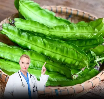 The Winged Bean Secret: A Simple Vegetable With Big Benefits for Eyes, Immunity, and Heart Health