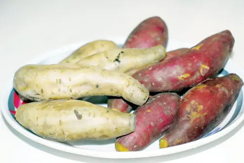 Sweet Potatoes Have Impressive Benefits — and a Few Important Warnings