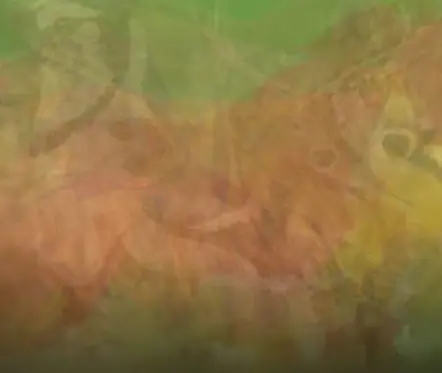 The first animal you see in this image will reveal the person you need in your life!