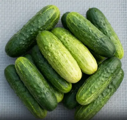 Doctors reveal that eating cucumber in salads causes...