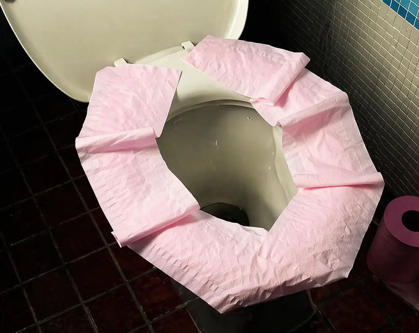 Should You Put Toilet Paper on Public Toilet Seats?