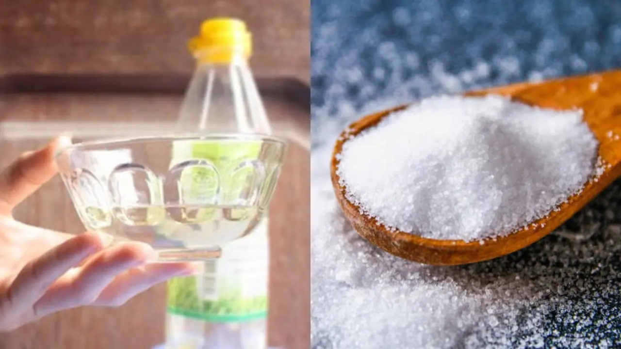 Discover: A Glass of Water, Vinegar, and Salt Can Cleanse Your Home
