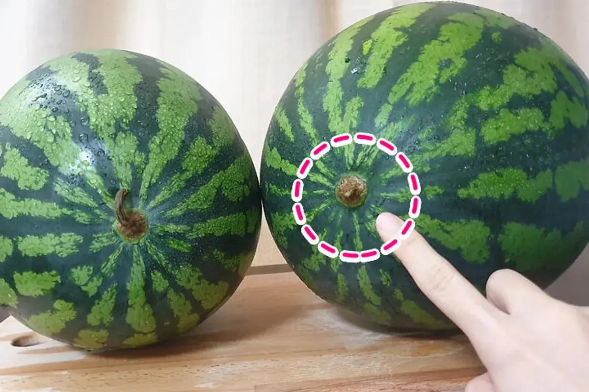 Expert Tips for Finding a Ripe Watermelon With Thin Skin and Rich Red Flesh