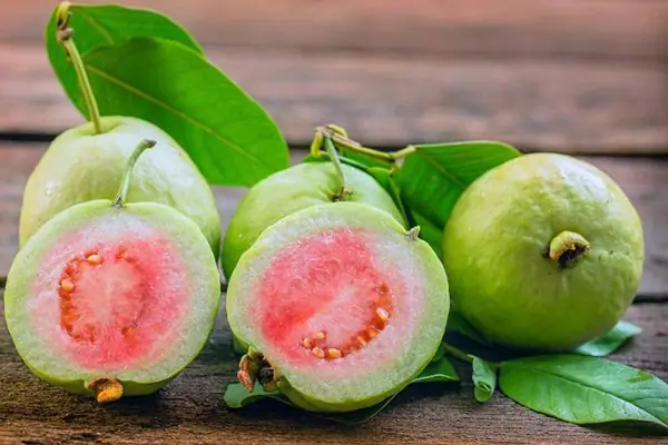 Doctors Warn That Eating Guava Improperly Could Lead to Health Problems...