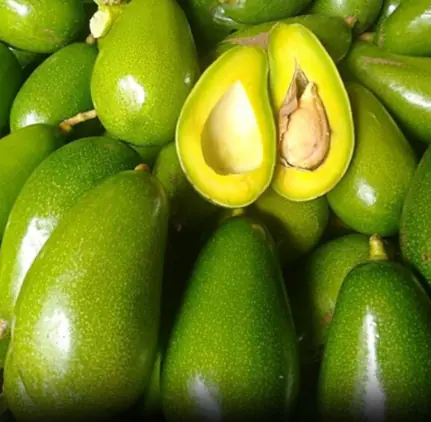 5 Potential Risks of Eating Avocados You Should Know
