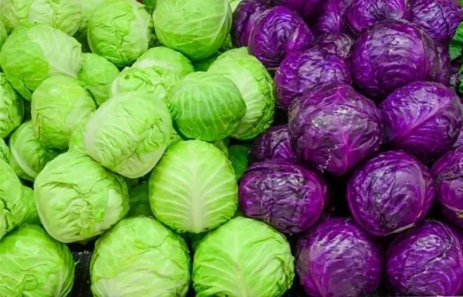 Shopping for Cabbage? These Simple Tips Can Help You Choose the Best One