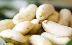2 Extre.mely Powe.rful Bra.in-Boosting Fruits That Few People Eat the Right Way