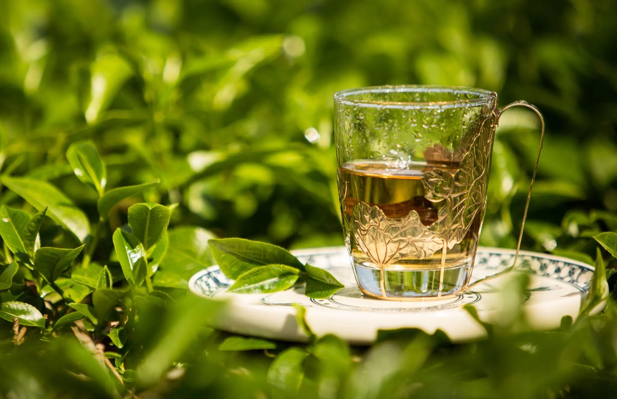 This Everyday Drink May Play a Helpful Role in Supporting Thyroid Health