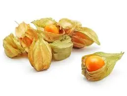 Physalis Isn’t Just Beautiful — It’s Packed With Powerful Nutrients