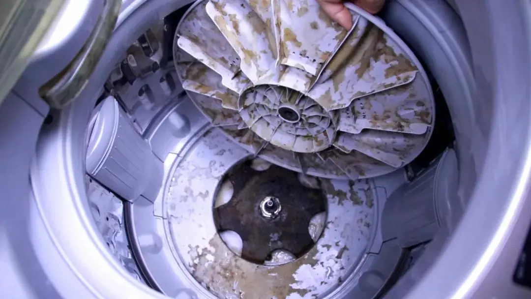 Beware of the Washing Machine’s “Hidden Dirty Spot” That Many People Forget to Clean