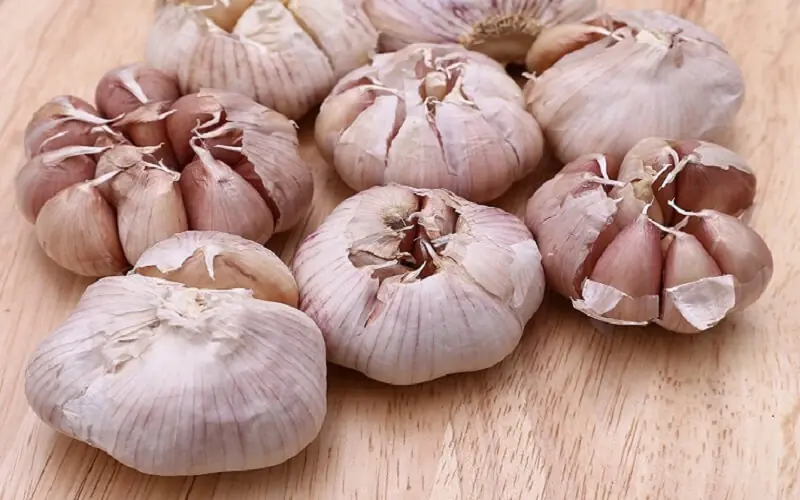 Garlic May Offer Natural Antibacterial Properties That Could Support Urinary Wellness