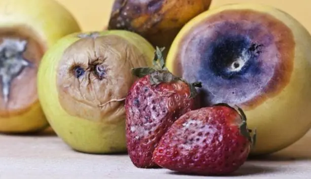These 5 Common Fruits May Be Best Eaten in Moderation for Can.cer Prevention