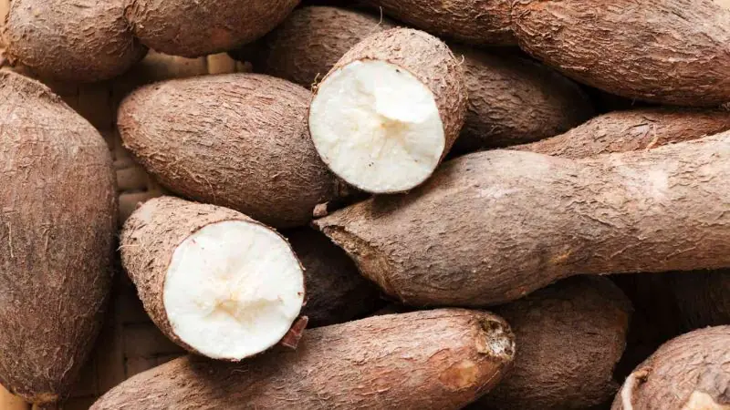 Even Though It Causes Hundreds of De.aths Annually, Nearly 500 Million People Still Eat This Food