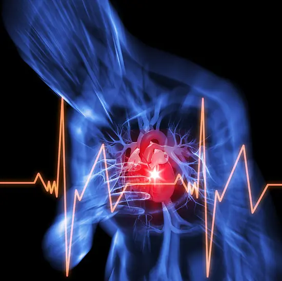 7 Signs Your Body Could Be Warning You About a Heart Attack