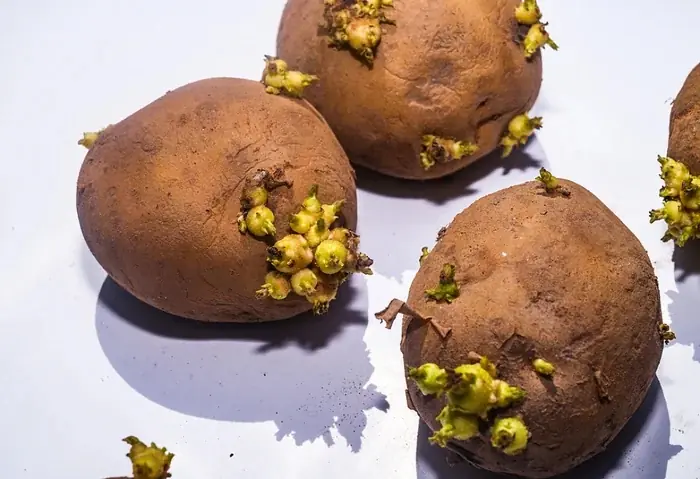5 Foods That Can Turn Into “Tox.ins” and Cause Kid.ney Fail.ure