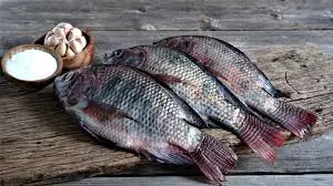 You might want to think twice before eating tilapia, here’s why it’s being discussed