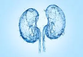 Can Coconut Water Help Your Kidneys? Here’s What Really Happens
