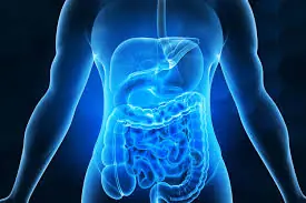 4 Powerful Morning Foods That Support Gut Health and Smooth Digestion