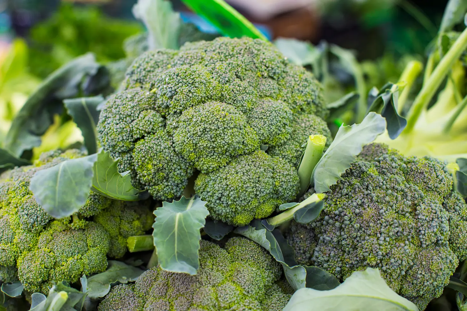 Doctors Reveal What Happens When You Eat Green Broccoli Regularly