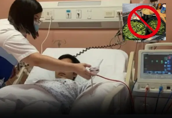 Eating Too Much of These 3 Common Vegetables May Put Serious Stress on Your Kidneys, Experts Warn