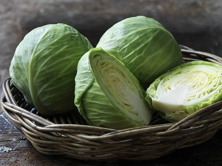 People who are advised not to eat cabbage
