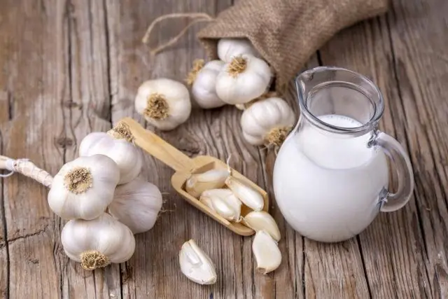 If You’re Struggling With Sleep, This Garlic-Based Remedy May Help Calm Your Nights