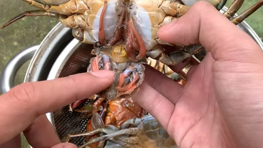 Doctor’s Warning: Stop Eating These 4 Foods Immediately — They May Contain Dangerous Parasites
