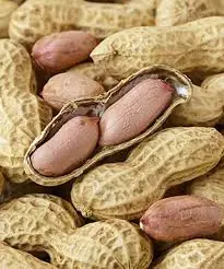 The truth about eating peanuts, according to doctors… details in the first comment
