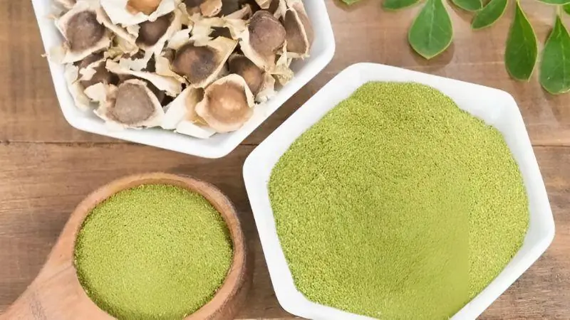 Moringa Seeds: 12 Potential Health Benefits Backed by Traditional Use