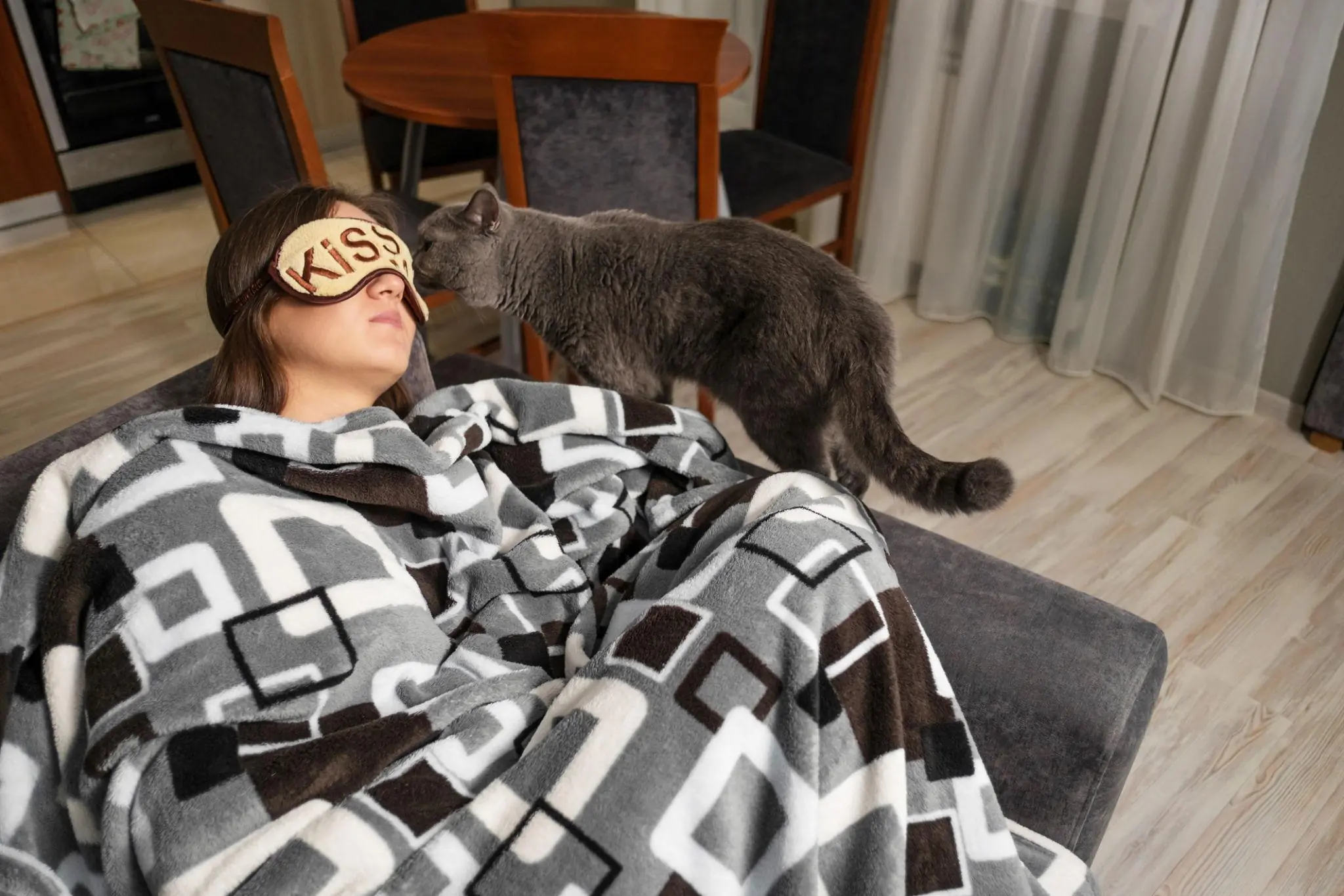What Happens When You Share Your Bed With a Cat Every Night?