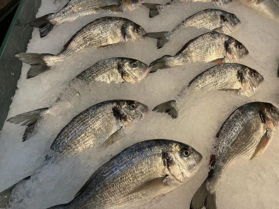 Stop Eating Red Tilapia Immediately? What Experts Actually Say